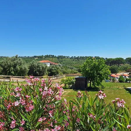 Casa Dani Studio Gina, Tomar Bed & Breakfast 3*